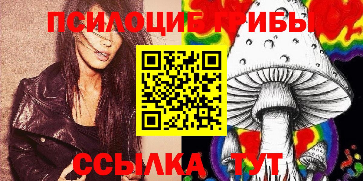 где можно купить наркотик  Вход с VPN  Ишим  Галлюциногенные грибы Psilocybe 