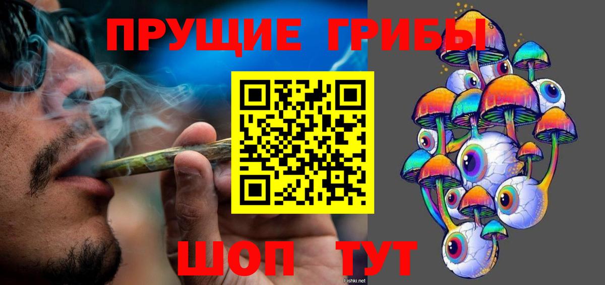 Галлюциногенные грибы Psilocybine cubensis Ишим